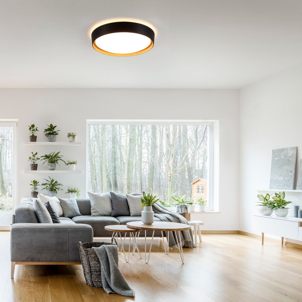 Leuchten-Direkt EMILIA Plafoniera LED Écru, Nero, 1-Luce main product photo