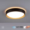 Leuchten-Direkt EMILIA Plafoniera LED Écru, Nero, 1-Luce