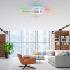 Leuchten-Direkt FELIX60 Plafoniera LED Acciaio satinato, 2-Luci, Telecomando, Cambia colore