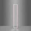 Leuchten-Direkt FELIX60 Lampada da terra LED Acciaio satinato, 2-Luci, Telecomando, Cambia colore