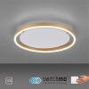 Leuchten-Direkt RITUS Plafoniera LED Ottone, 1-Luce