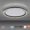 Leuchten-Direkt RITUS Plafoniera LED Antracite, 1-Luce