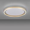 Leuchten-Direkt RITUS Plafoniera LED Ottone, 1-Luce