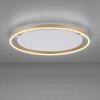 Leuchten-Direkt RITUS Plafoniera LED Ottone, 1-Luce