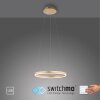 Leuchten-Direkt RITUS Lampadario a sospensione LED Ottone, 1-Luce