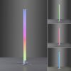 Leuchten-Direkt RINGO Lampada da terra LED Argento, 1-Luce, Telecomando, Cambia colore
