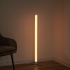 Leuchten-Direkt RINGO Lampada da terra LED Argento, 1-Luce, Telecomando, Cambia colore