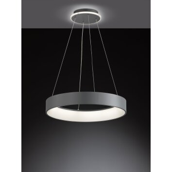 Wofi-Leuchten SHAY Lampada a Sospensione LED Grigio, 1-Luce