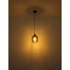 Globo OTHMAR Lampadario a sospensione Bronzo, Nero, 1-Luce