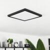 Canditas Plafoniera LED Nero, 1-Luce