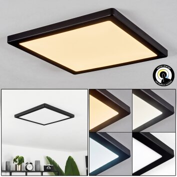 Canditas Plafoniera LED Nero, 1-Luce