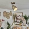 Neves Plafoniera Ottone, 1-Luce