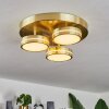 Huallilemu Plafoniera LED Ottone, 3-Luci