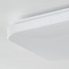 Melres Plafoniera LED Bianco, 1-Luce