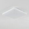 Melres Plafoniera LED Bianco, 1-Luce