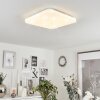 Melres Plafoniera LED Bianco, 1-Luce