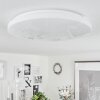 Melres Plafoniera LED Bianco, 1-Luce