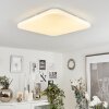 Melres Plafoniera LED Bianco, 1-Luce