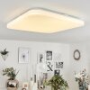 Melres Plafoniera LED Bianco, 1-Luce