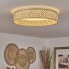 Quintinha Plafoniera LED Bianco, 1-Luce