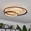 Agordela Plafoniera LED Oro, Bianco, 1-Luce