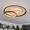 Agordela Plafoniera LED Oro, Bianco, 1-Luce