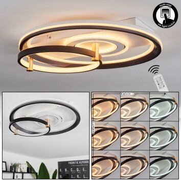 Agordela Plafoniera LED Oro, Bianco, 1-Luce