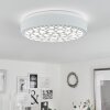 Agodim Plafoniera LED Bianco, 1-Luce