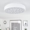 Agodim Plafoniera LED Bianco, 1-Luce