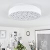 Agodim Plafoniera LED Bianco, 1-Luce