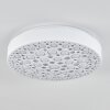 Agodim Plafoniera LED Bianco, 1-Luce