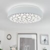 Agodim Plafoniera LED Bianco, 1-Luce