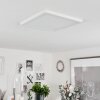 Canditas Plafoniera LED Bianco, 1-Luce