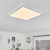 Canditas Plafoniera LED Bianco, 1-Luce