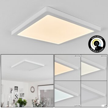 Canditas Plafoniera LED Bianco, 1-Luce