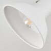 Vouzy Plafoniera Bianco, 1-Luce