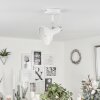 Vouzy Plafoniera Bianco, 1-Luce