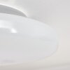 Ral Plafoniera LED Argento, Bianco, 1-Luce, Telecomando, Cambia colore