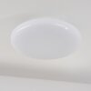 Ral Plafoniera LED Argento, Bianco, 1-Luce, Telecomando, Cambia colore