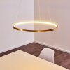 Canisteo Lampadario a sospensione LED Oro, 1-Luce