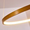 Canisteo Lampadario a sospensione LED Oro, 1-Luce