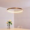 Canisteo Lampadario a sospensione LED Oro, 1-Luce