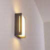 Torhamn Applique da esterno LED Antracite, 1-Luce