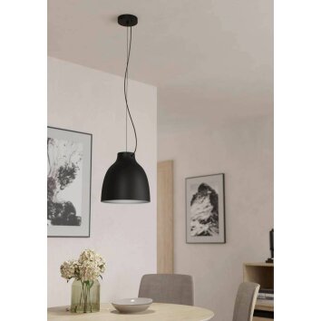 Eglo CAMASCA Lampadario a sospensione Nero, 1-Luce