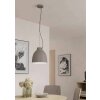 Eglo CAMASCA Lampadario a sospensione Grigio talpa, 1-Luce