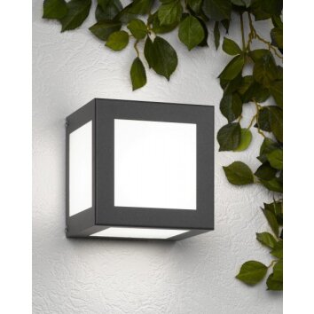 CMD Aqua Cubo Applique Antracite, 1-Luce