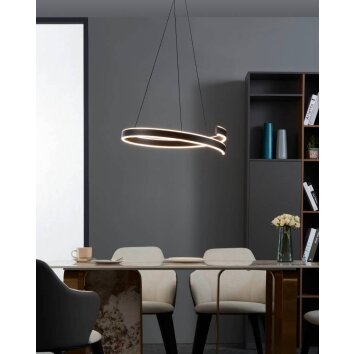 Eglo ANDABAIA-Z Lampadario a sospensione LED Nero, 1-Luce