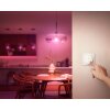 Philips Hue Tap Dial Interruttore Bianco