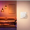 Philips Hue Tap Dial Interruttore Bianco