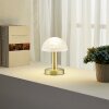 Trio Fynn 2 Lampada da tavolo Ottone, 1-Luce